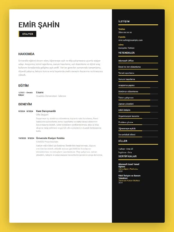 Stajyer CV Örneği şablon önizlemesi
